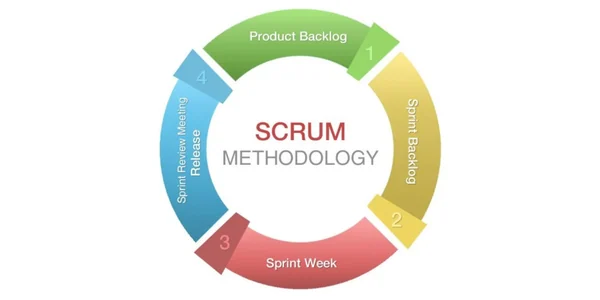 Scrum Scrum